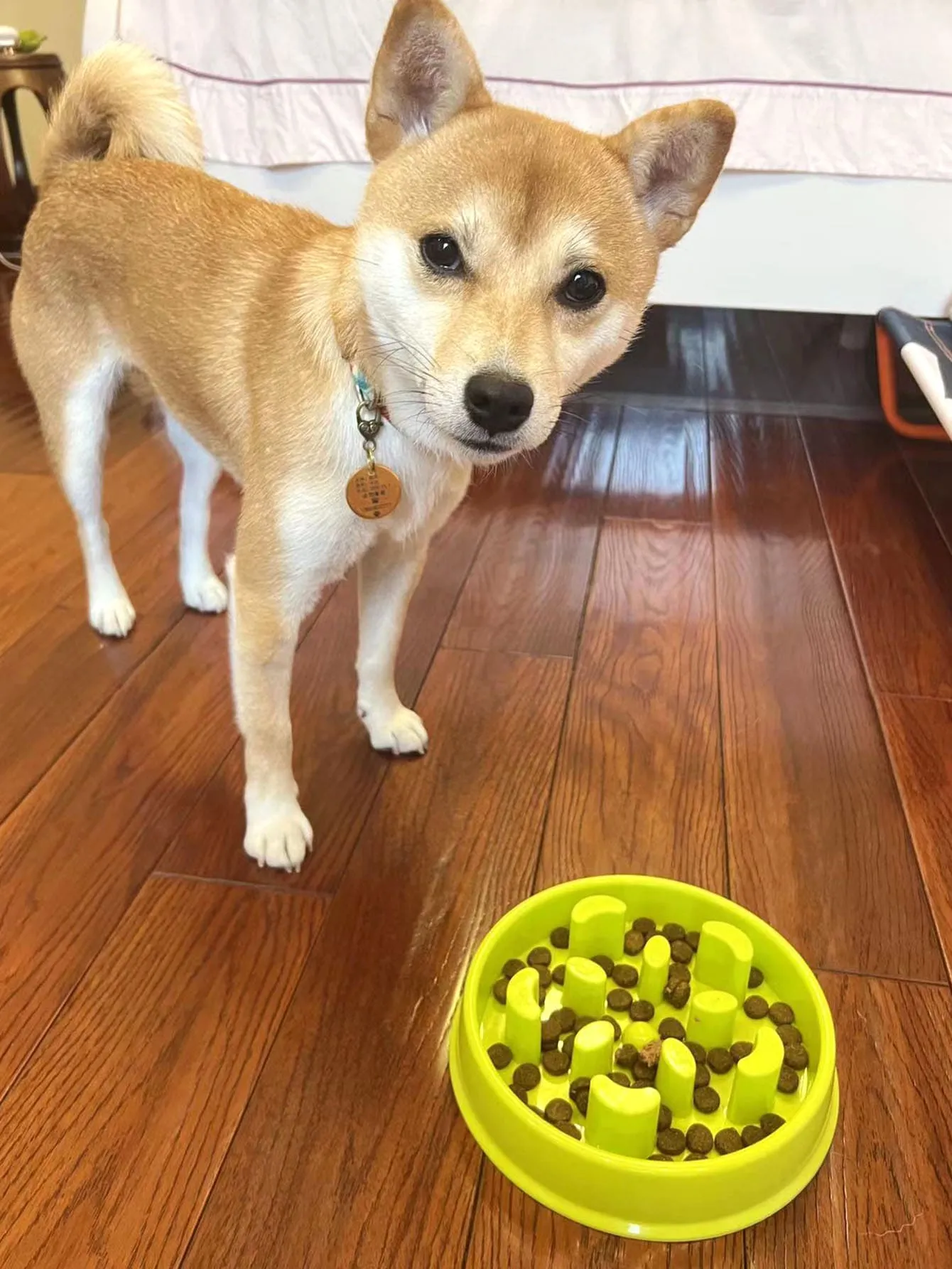 1pc Pet Slow Food Anti Choke Bowl