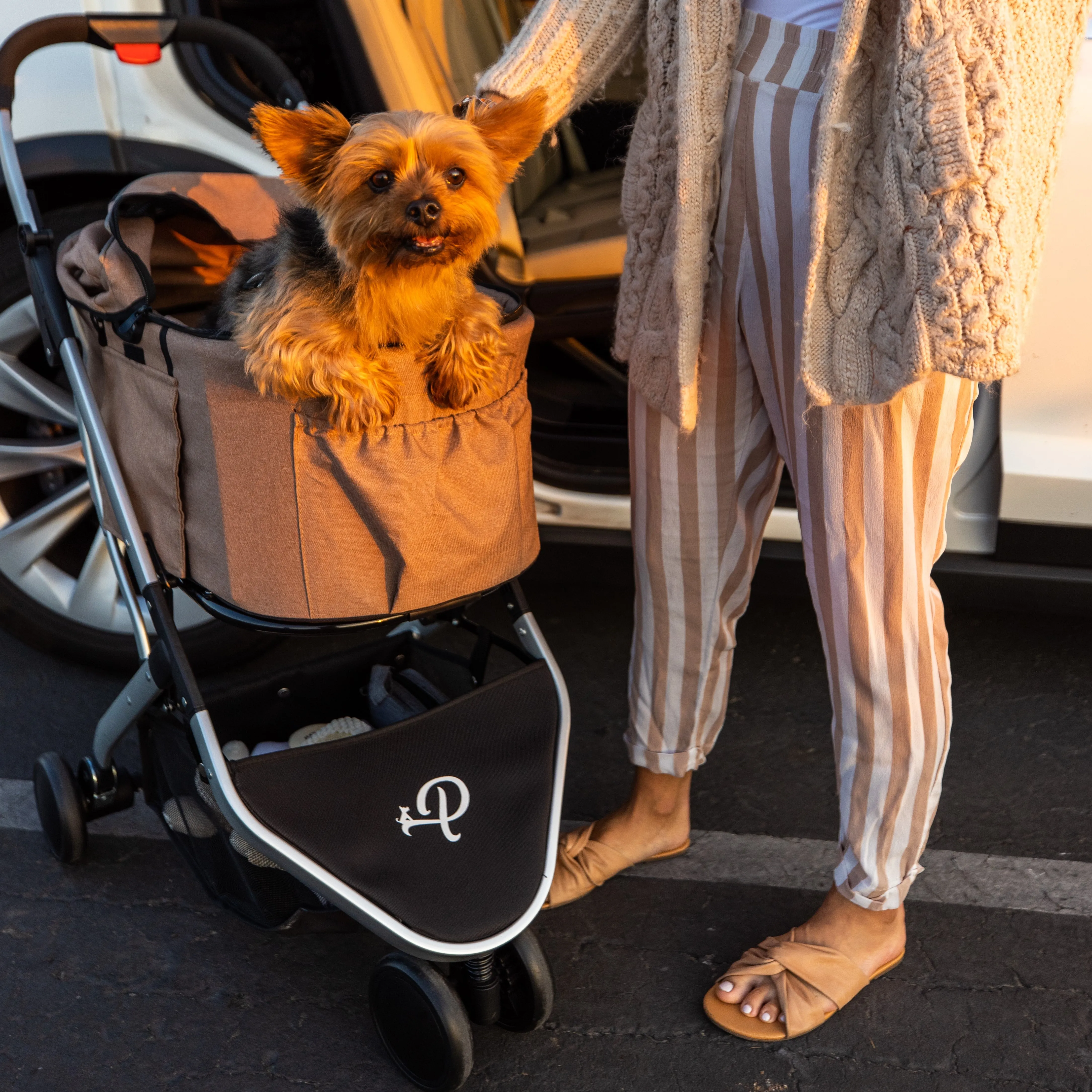 3-in-1 Pet Travel Bundle