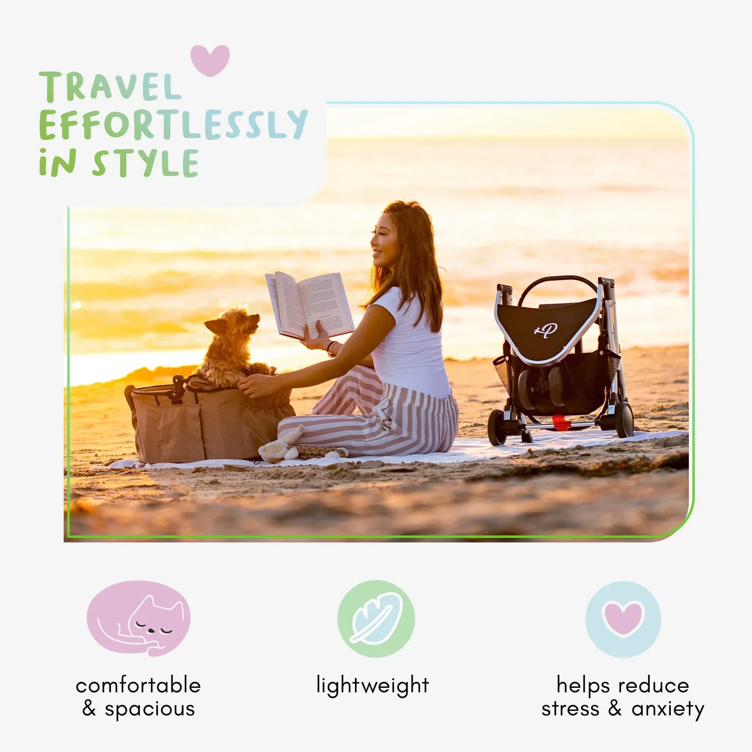 3-in-1 Pet Travel Bundle