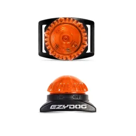 Adventure Dog Light