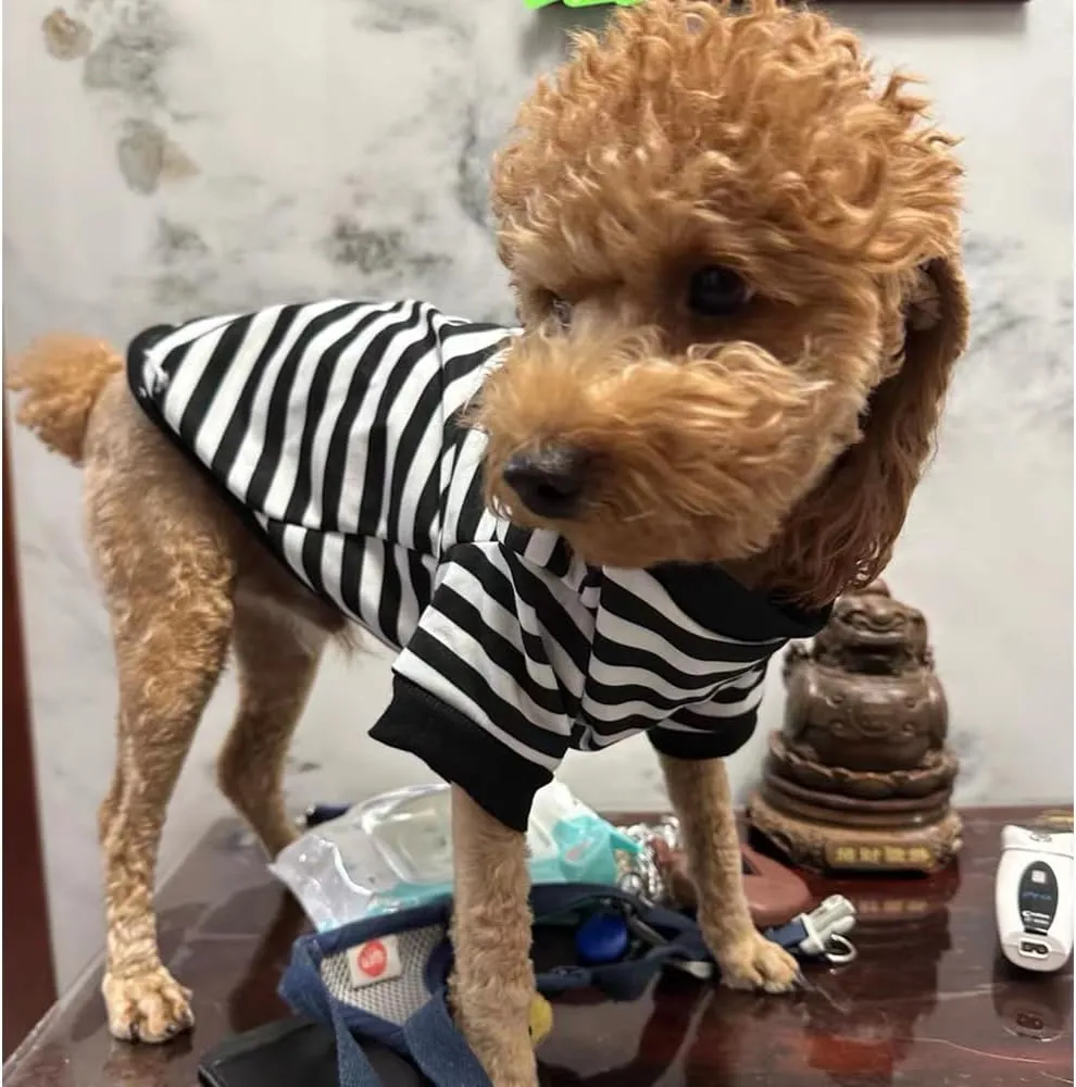 Autumn Dog Hoodies with Leash Ring Warm Striped Puppy Shirt for Small Dog Girl Boy Cat Sweater Winter Pet Clothes Pomeranian Chihuahua Cold Weather Coat (Medium, Black)