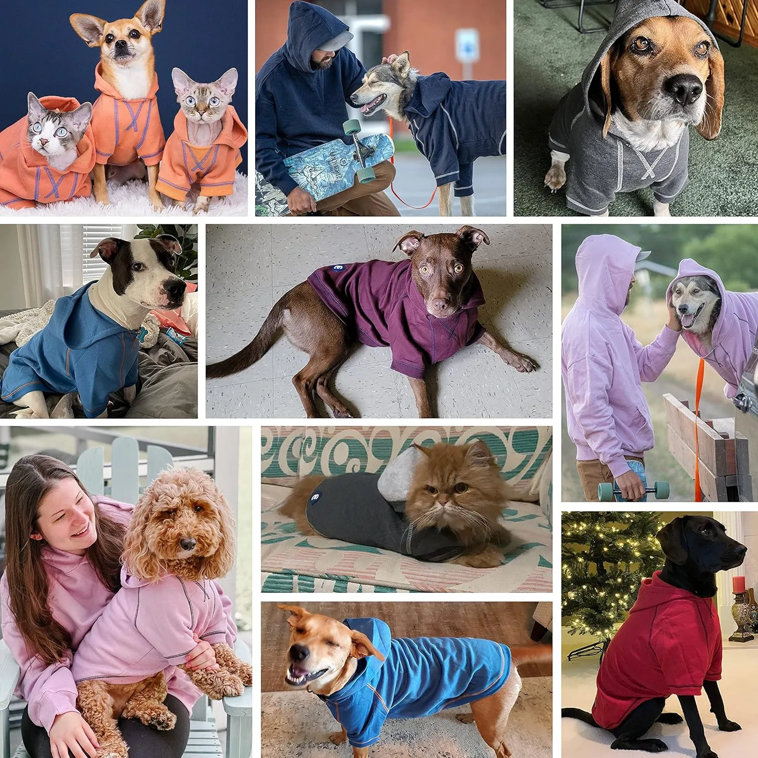 Blueberry Pet Essentials 2023 New Soft & Comfy Better Basic Cotton Blend Dog Hoodie Sweatshirt in Coral, Back Length 20", Pack of 1 Jacket for Dogs