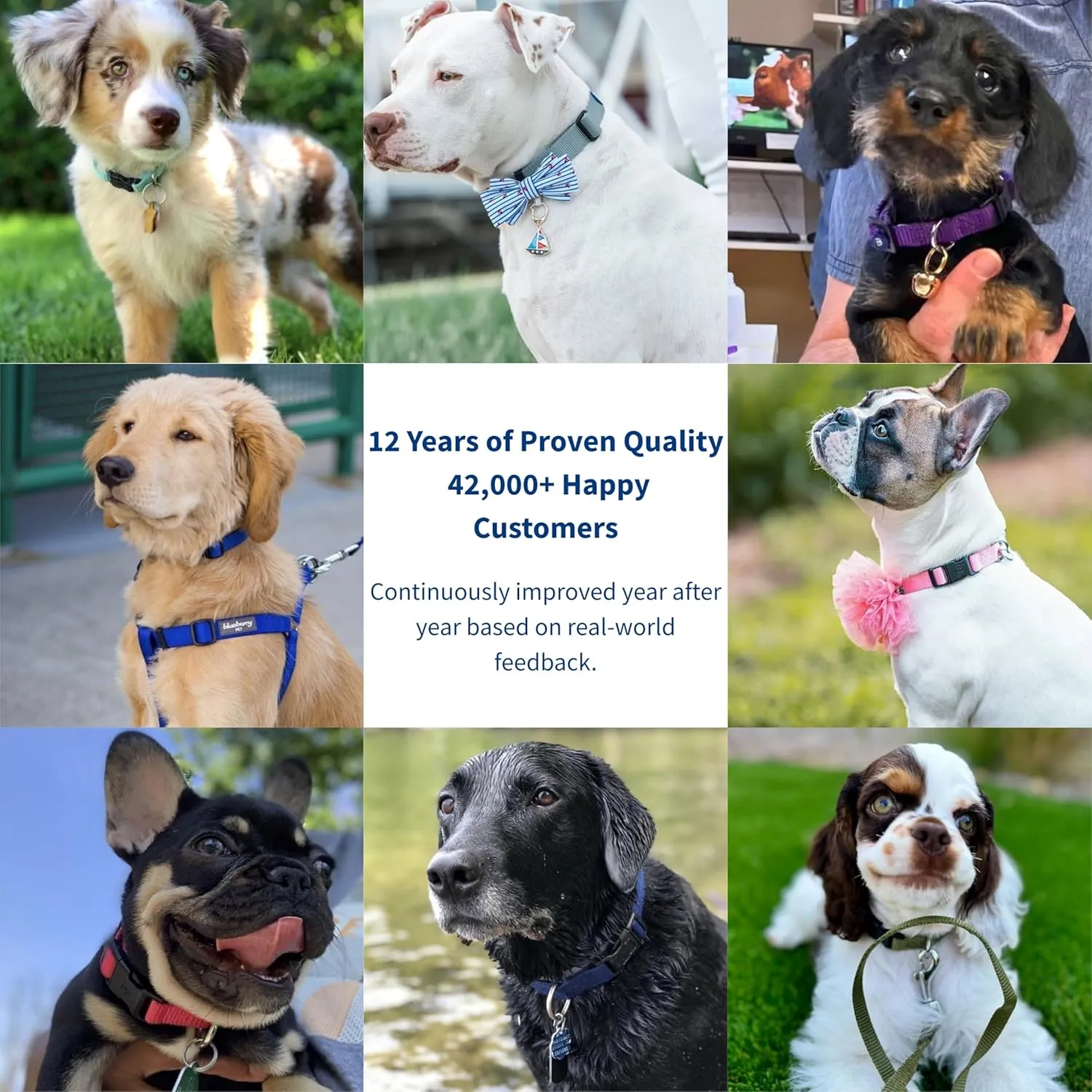 Blueberry Pet Essentials  |  |   |  |  | 