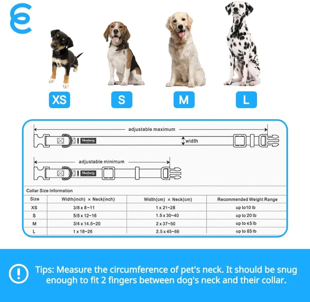 Blueberry Pet Essentials  |  |   |  |  | 