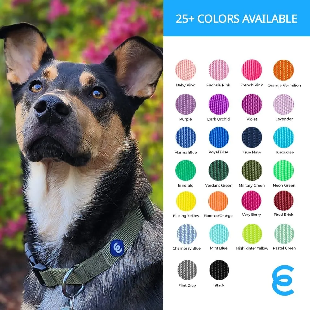 Blueberry Pet Essentials  |  |   |  |  | 