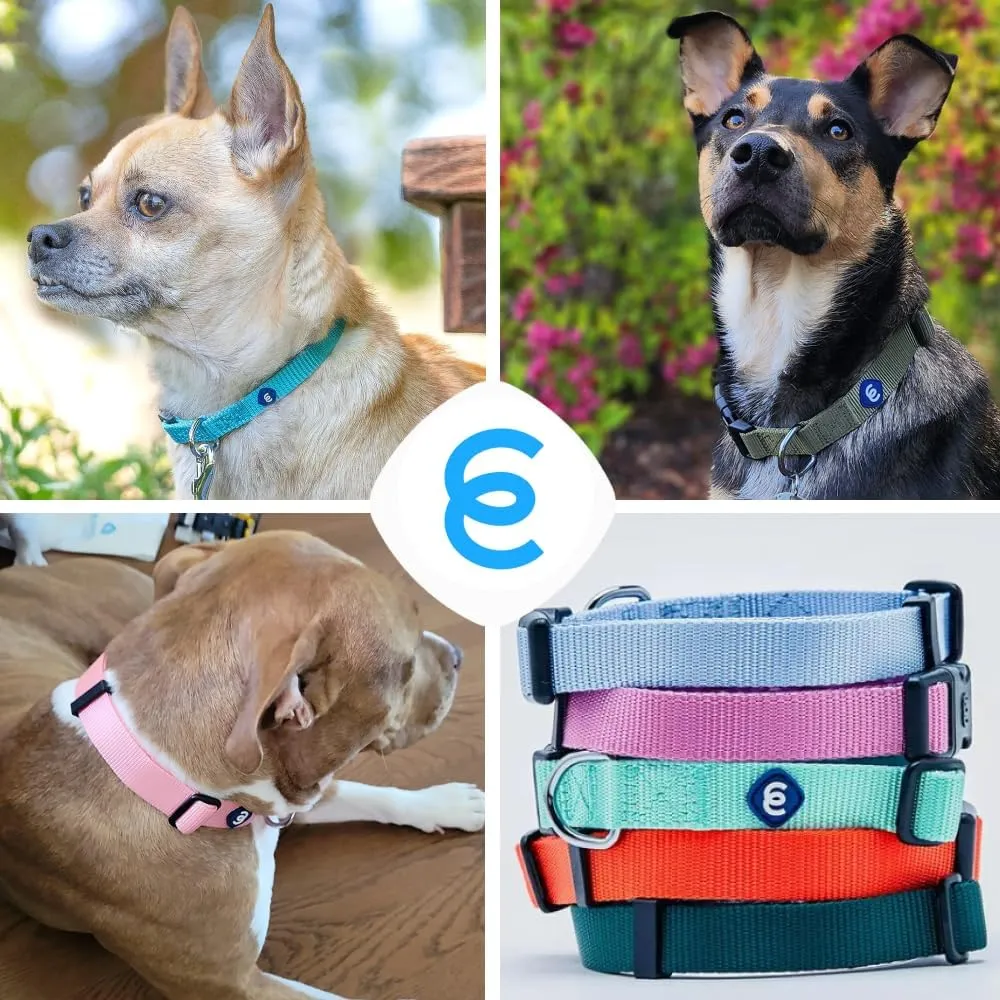 Blueberry Pet Essentials  |  |   |  |  | 