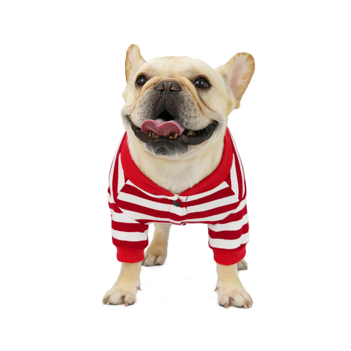 Bulldog pet clothing in autumn and winter with striped pattern