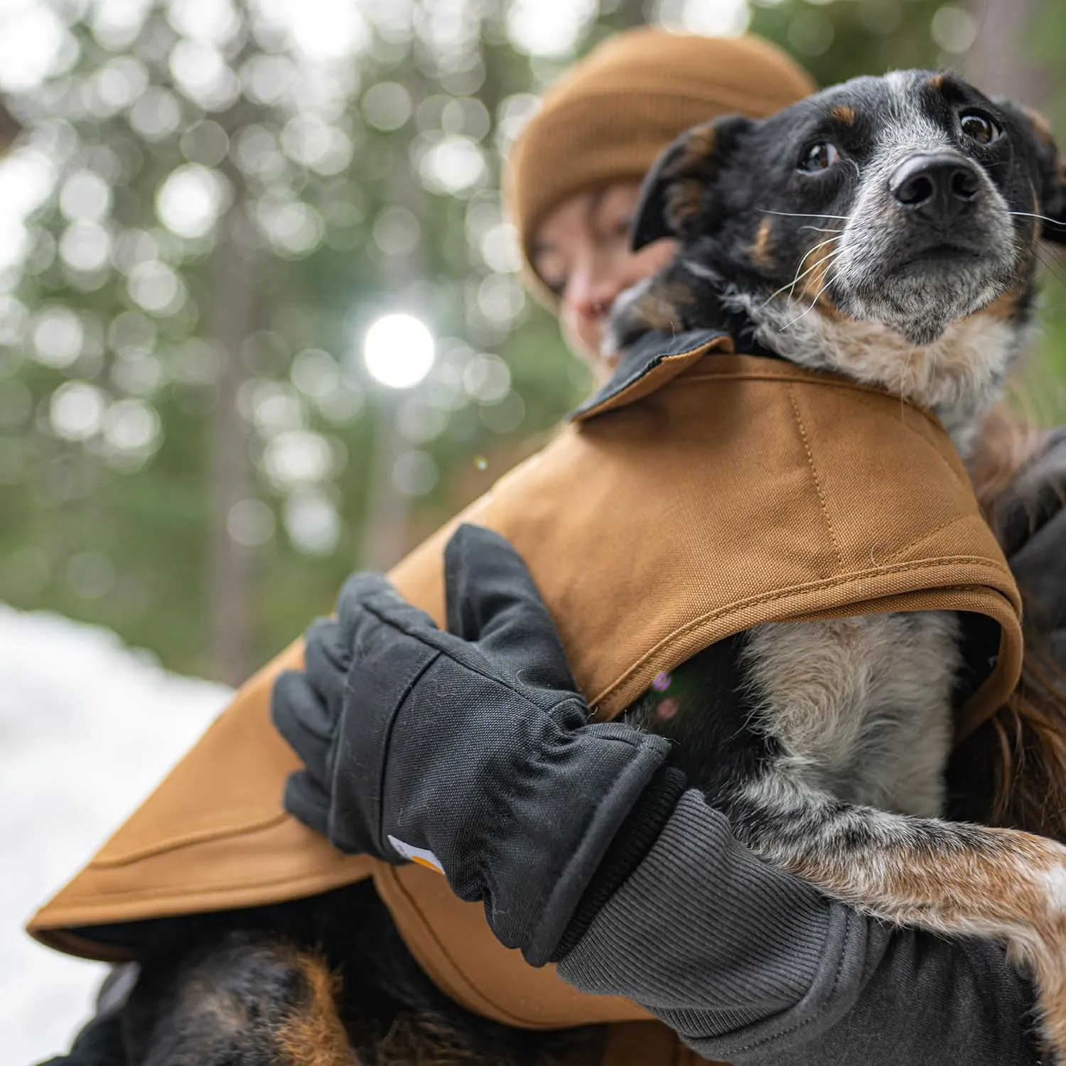 Carhartt Firm Duck Insulated Dog Chore Coat, Durable Weather Resistant Jacket for Cold and Windy Conditions, PFAS Free (Hunter Orange), Medium
