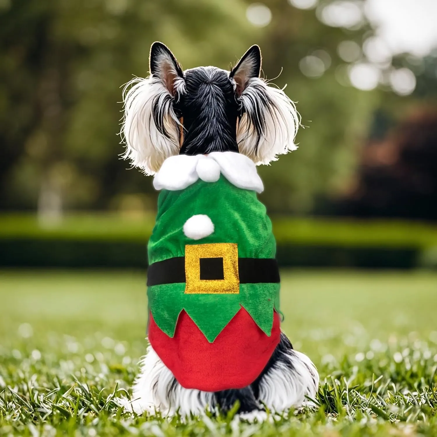 Christmas Pet Costume Christmas Elf Dog Costume Clothes Funny Cosplay Puppy Cat Xmas Costume Outfit Winter Hoodie Coat Clothes Apparel for Dogs Pet Christmas Party Supplies (S)
