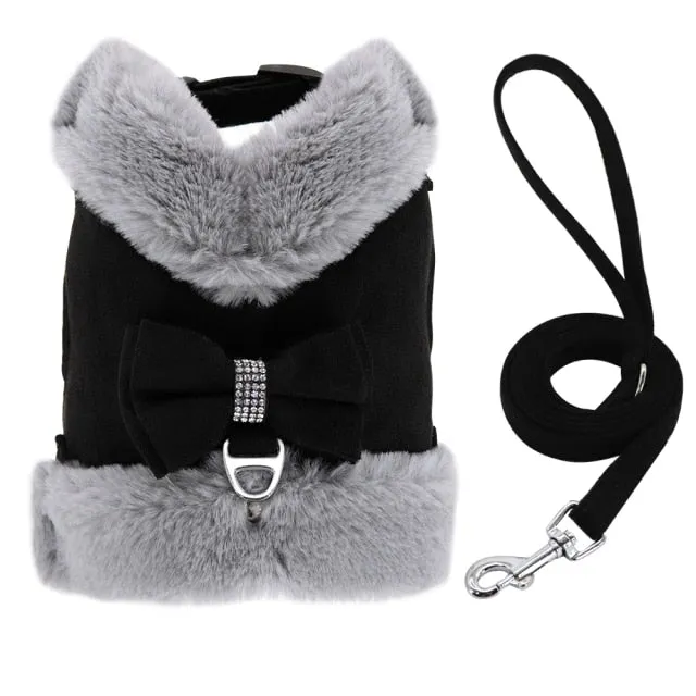 Cute Yorkie Dog Harness Leash