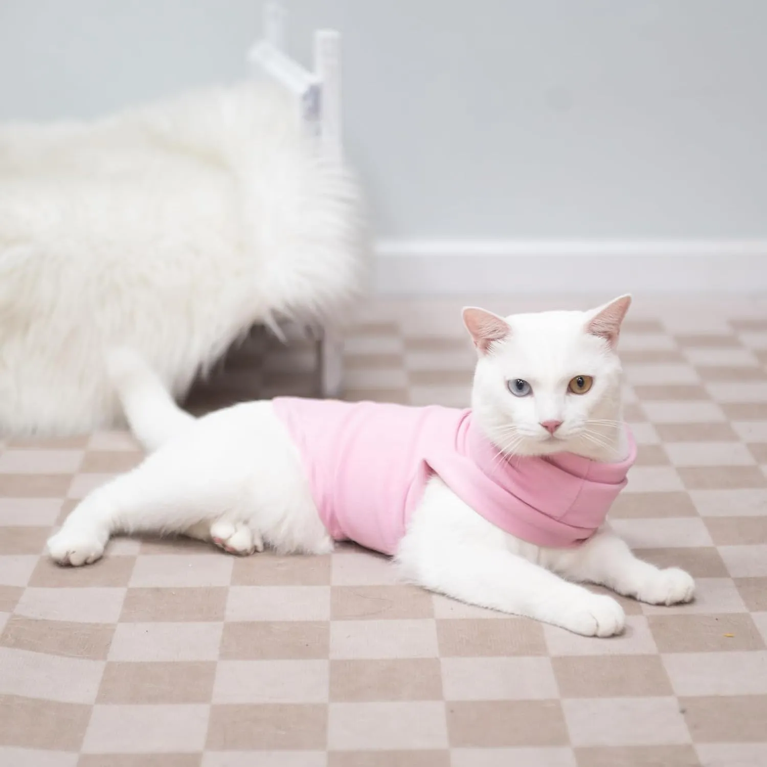 EXPAWLORER Soft Cat Sweater - Warm Clothes for Cats, Fall and Winter Coat Pullover Design, Fleeced Sweatshirt Also for Puppies Small Dogs, Pink M