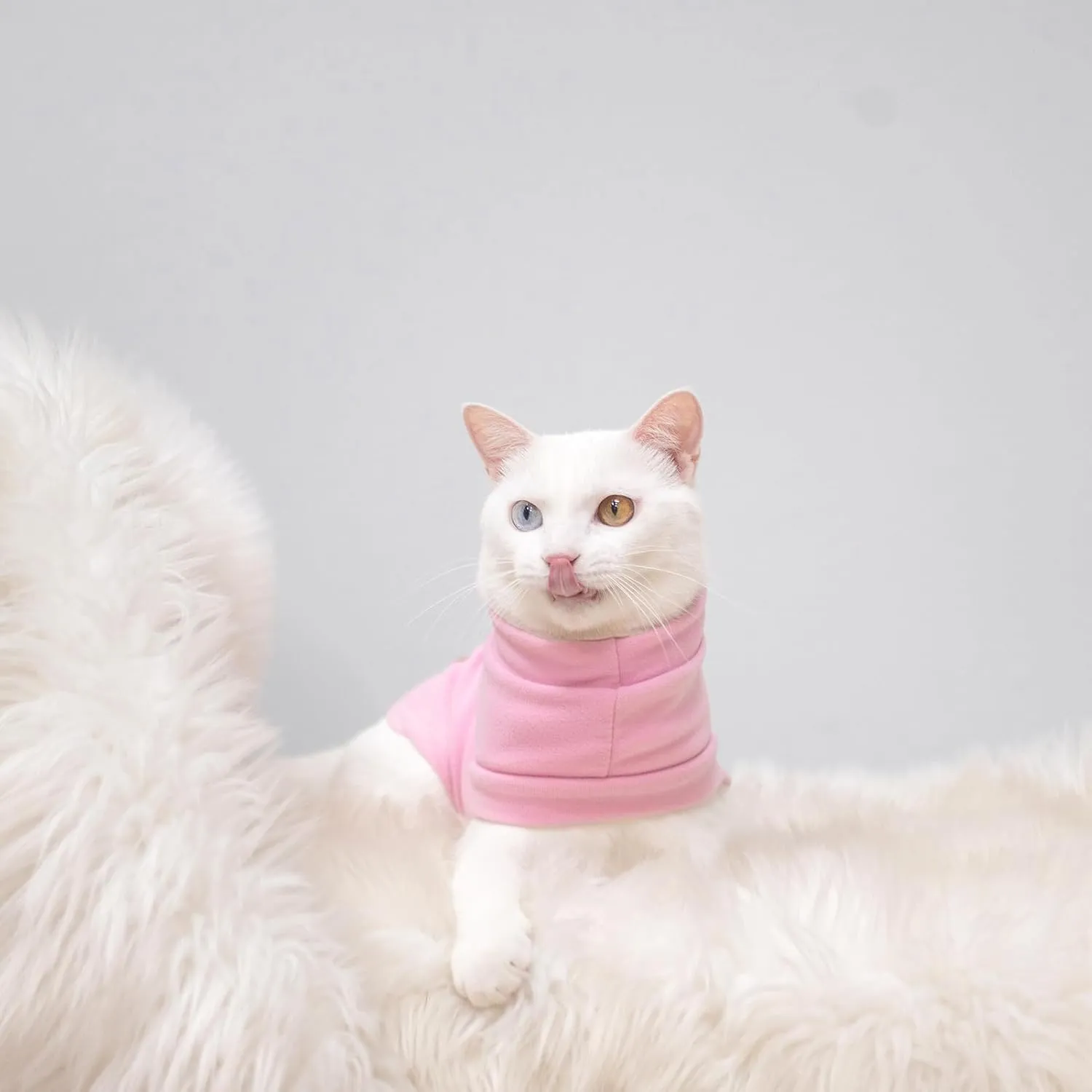 EXPAWLORER Soft Cat Sweater - Warm Clothes for Cats, Fall and Winter Coat Pullover Design, Fleeced Sweatshirt Also for Puppies Small Dogs, Pink M