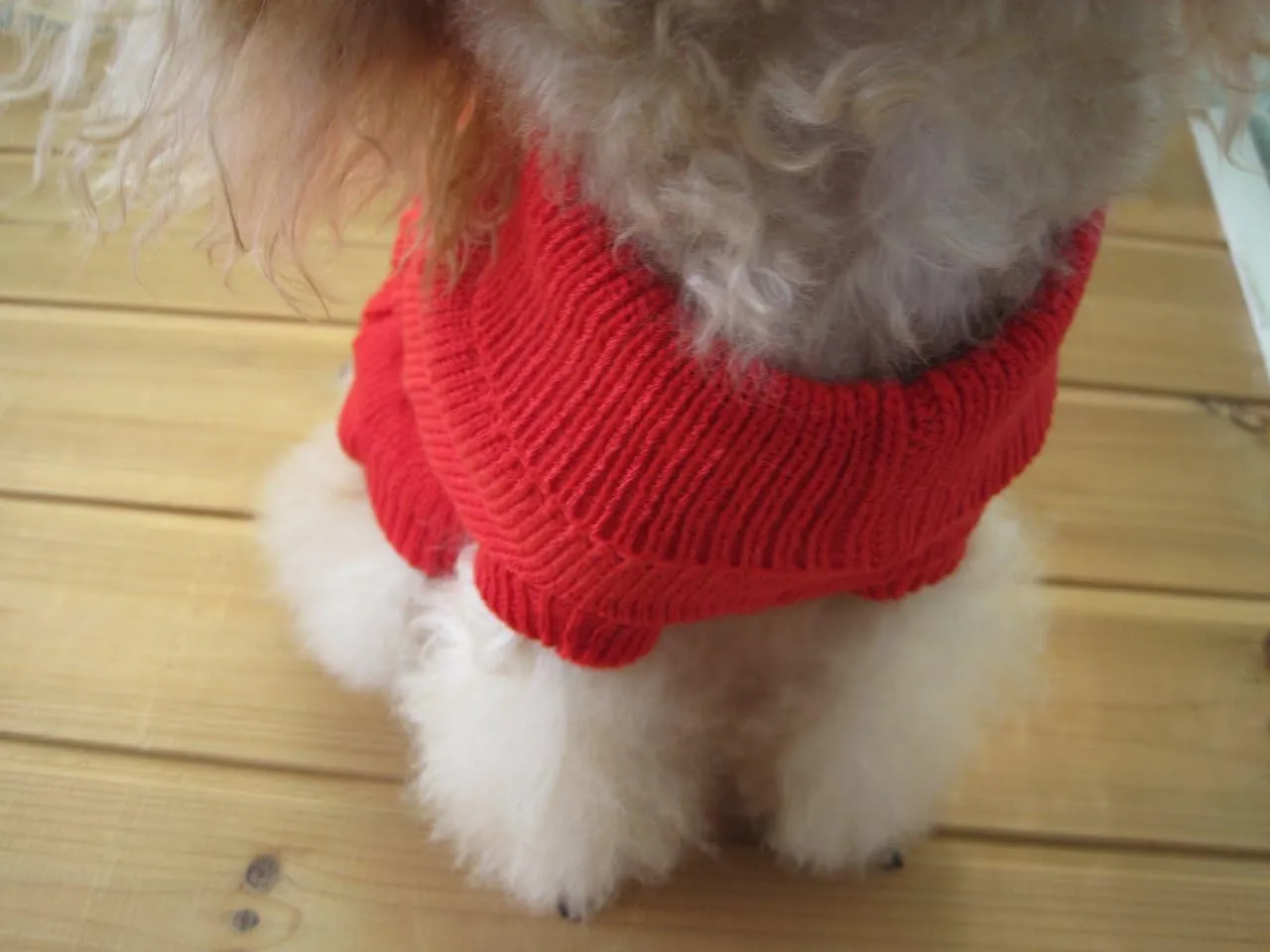 FAMI Dog Clothes Dogs Sweater Soft Puppies Clothing Winter Puppy Sweaters Warm Outfit for Dogs Small XS S Cat Apparel(Red,Medium)