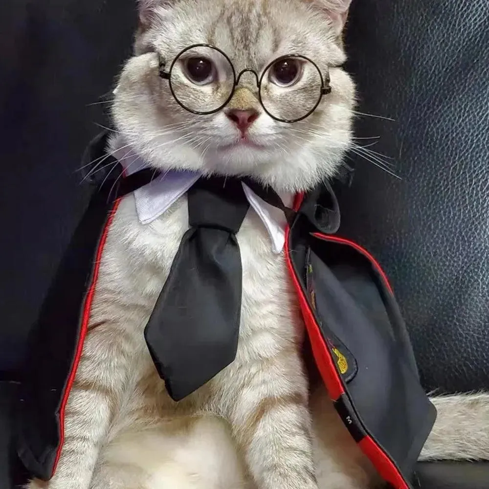 Halloween Cloak Hat Pet Costume