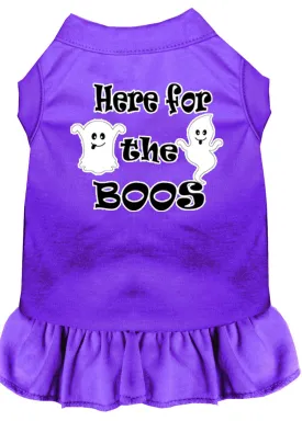 Here For The Boos Screen Print Dog Dress Purple Lg (14)