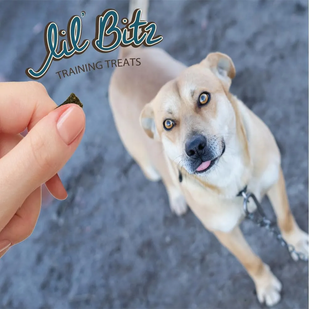 Lil' Bitz Flame Roasted Chicken Training Treats for All Dog Breeds - Low Calories, Grain Free, Natural Ingredients, NASC Compliance - Perfect Reward for Dogs of Every Size (3 Pack)
