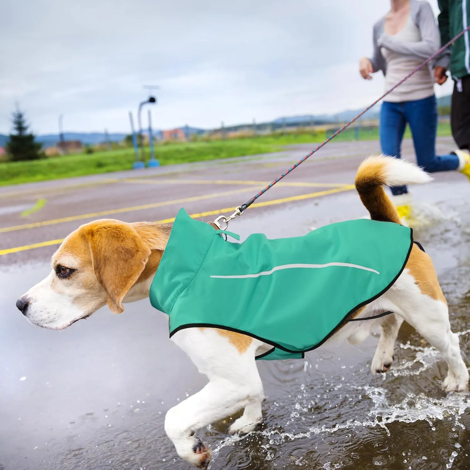 Mile High Life Dog Raincoat, Adjustable Waterproof Reflective Rain Jacket for Small Medium Large Dogs, Lightweight Breathable Pet Rain Coat with Leash Hole(Green,L Chest 32-40")