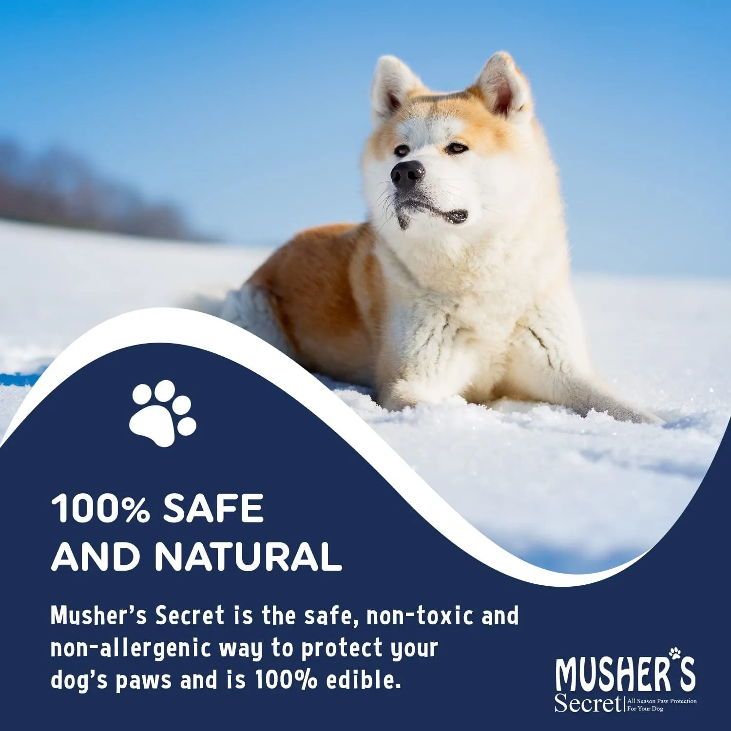 Moisturizing Dog Paw Balm 60 G (2.1 Oz)