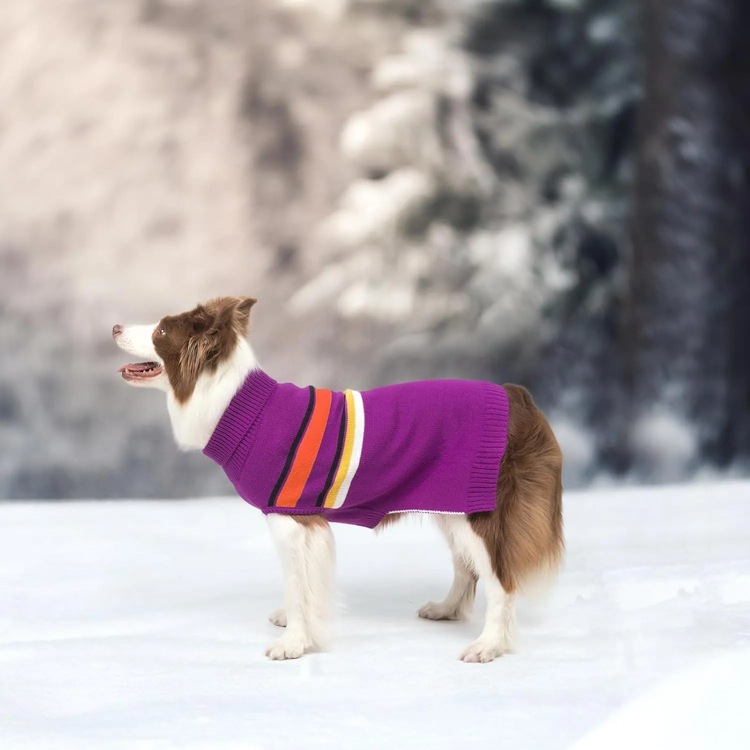 PAWCHIE Large Dog Girls & Boys Warm Coat Turtleneck, Thick Dog Clothes with Leash Hole, Stretchy Knitted Outfit for Small to Large Doggy Puppy, Purple L/XL