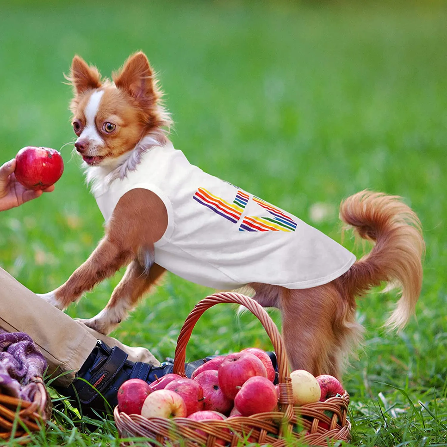 Perferhouse Rainbow Dog T-Shirt with Love Pattern Comfortable Cotton Dog Clothes Quick Dry Dog Shirt Fashion Pet Clothing for Dog Cat Puppy(White XS)