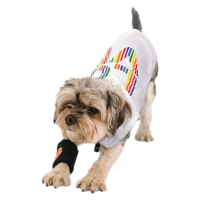 Perferhouse Rainbow Dog T-Shirt with Love Pattern Comfortable Cotton Dog Clothes Quick Dry Dog Shirt Fashion Pet Clothing for Dog Cat Puppy(White XS)