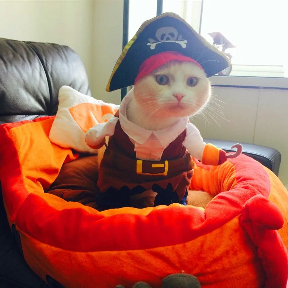 Pet Cat Pirate Costume Suit Halloween with Hat