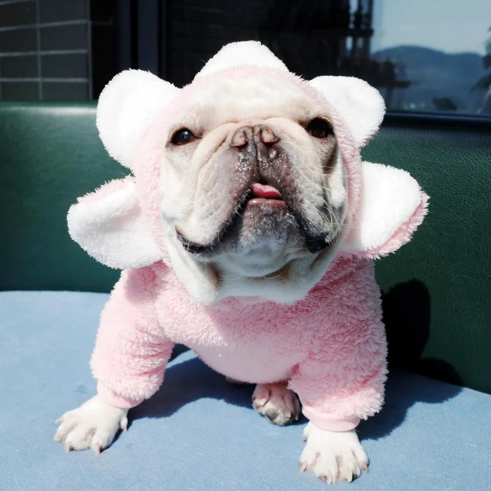 Pet Clothes Dog Autumn and Winter Brushed Hoody