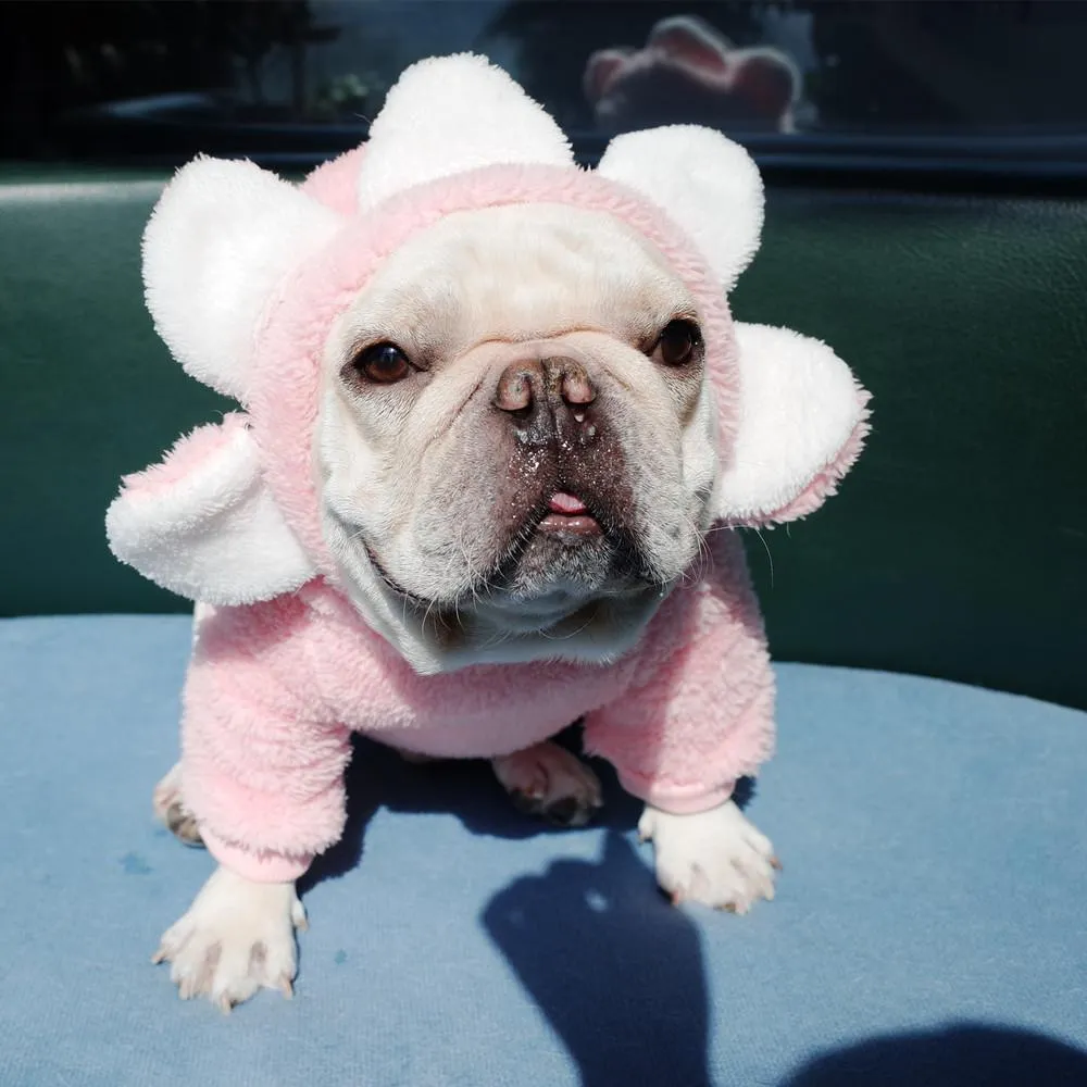 Pet Clothes Dog Autumn and Winter Brushed Hoody