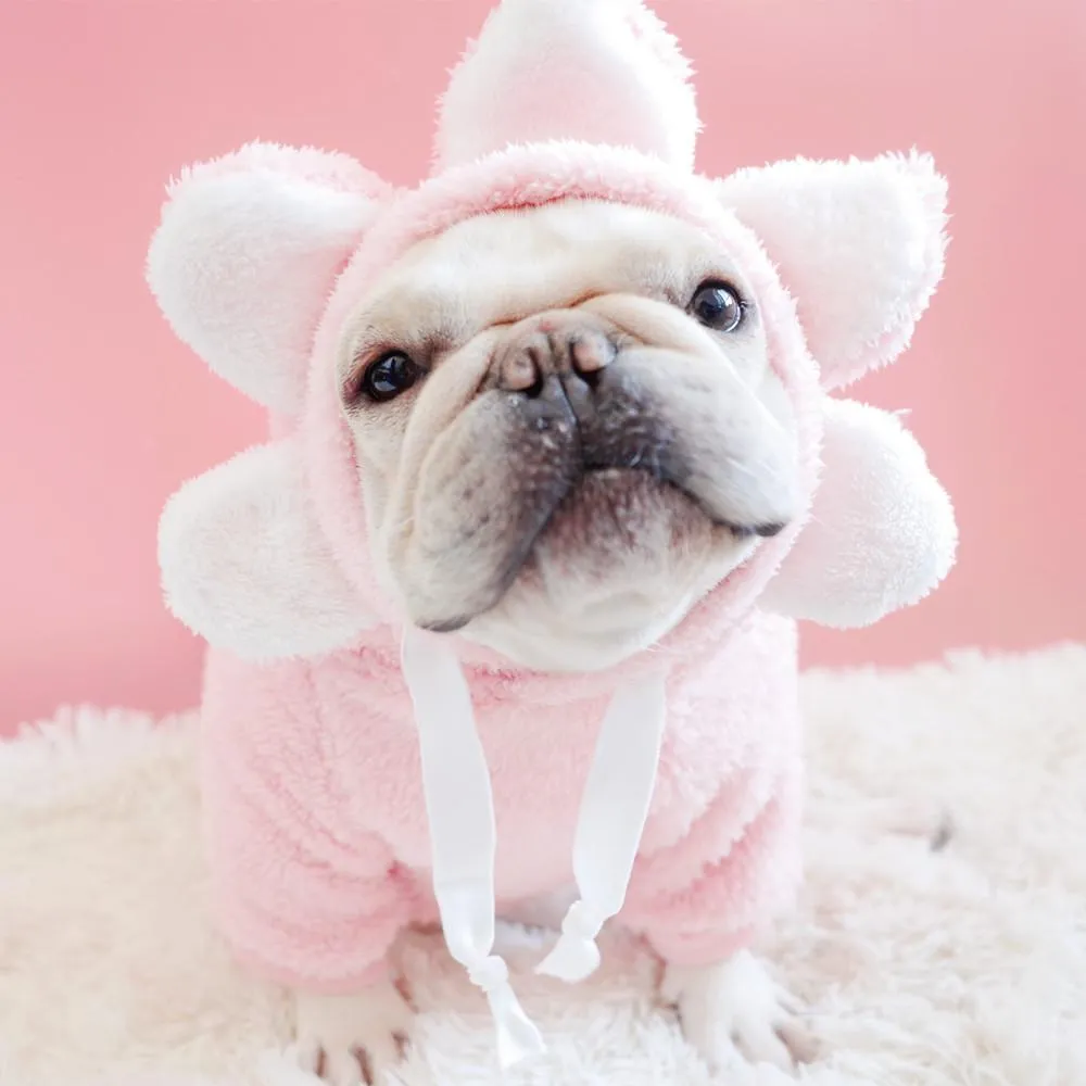 Pet Clothes Dog Autumn and Winter Brushed Hoody