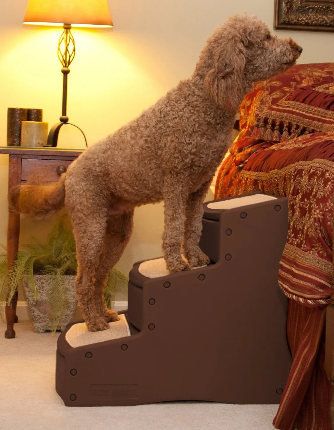 Pet Gear® Easy Step III Cocoa SALE