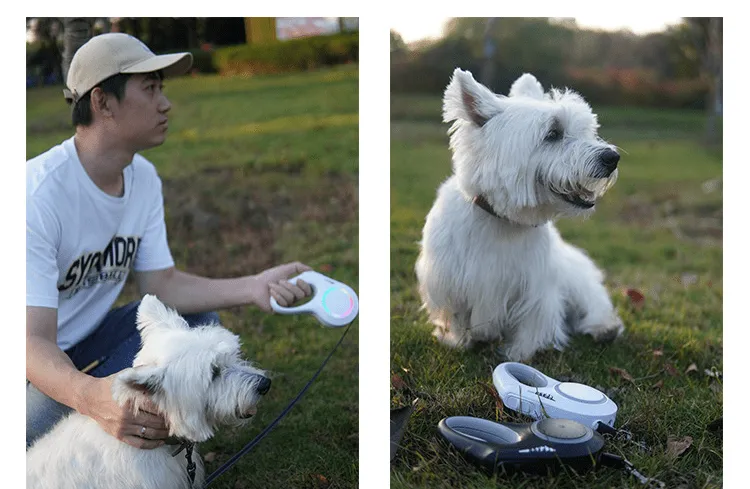 Pet Products Cross-Border New Dog Leash Automatic Retractable Leash Recharging Dog Leash Wholesale Large Dog Leash