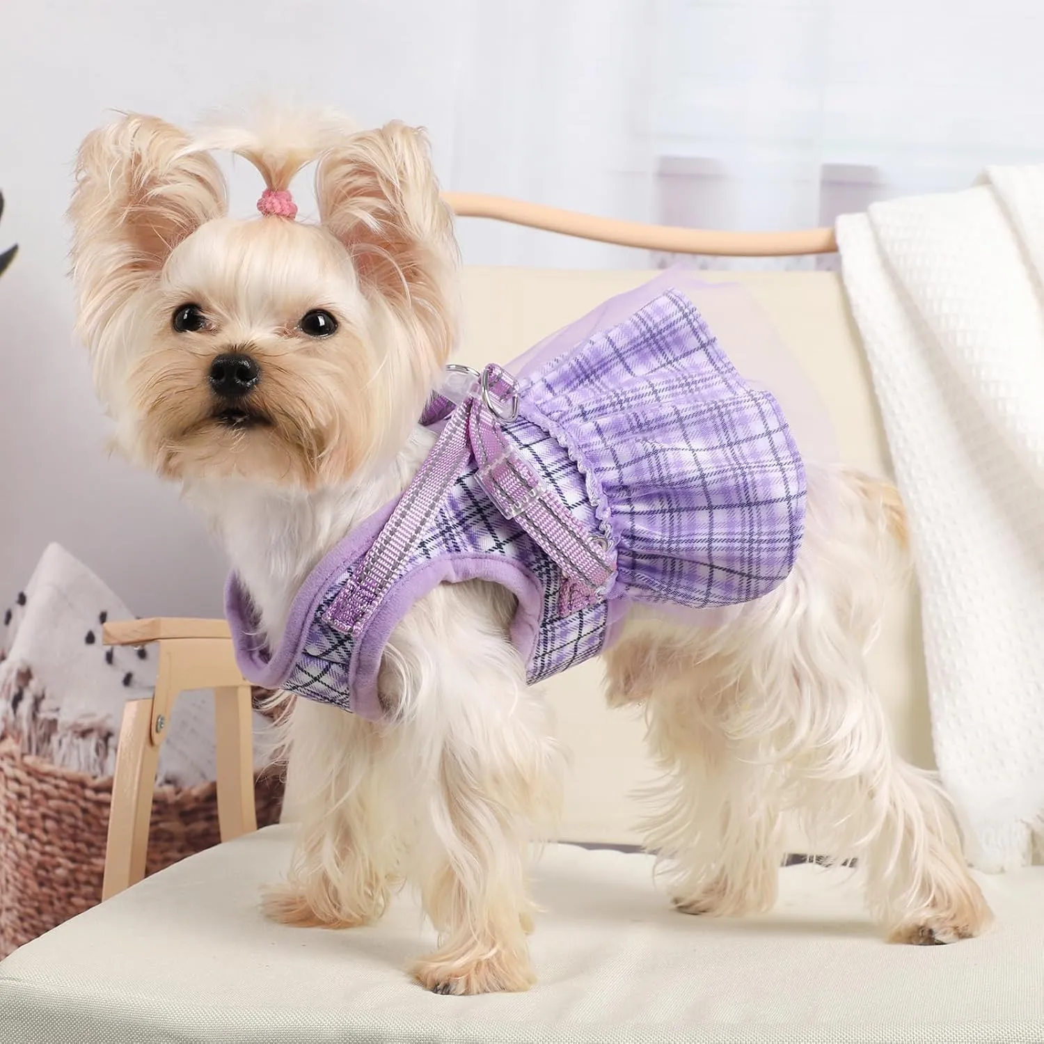 Purple No Leash Dog Harness - Breathable, Adjustable, No Pull for Small Medium Dogs (Chest 13.7-17.3in)