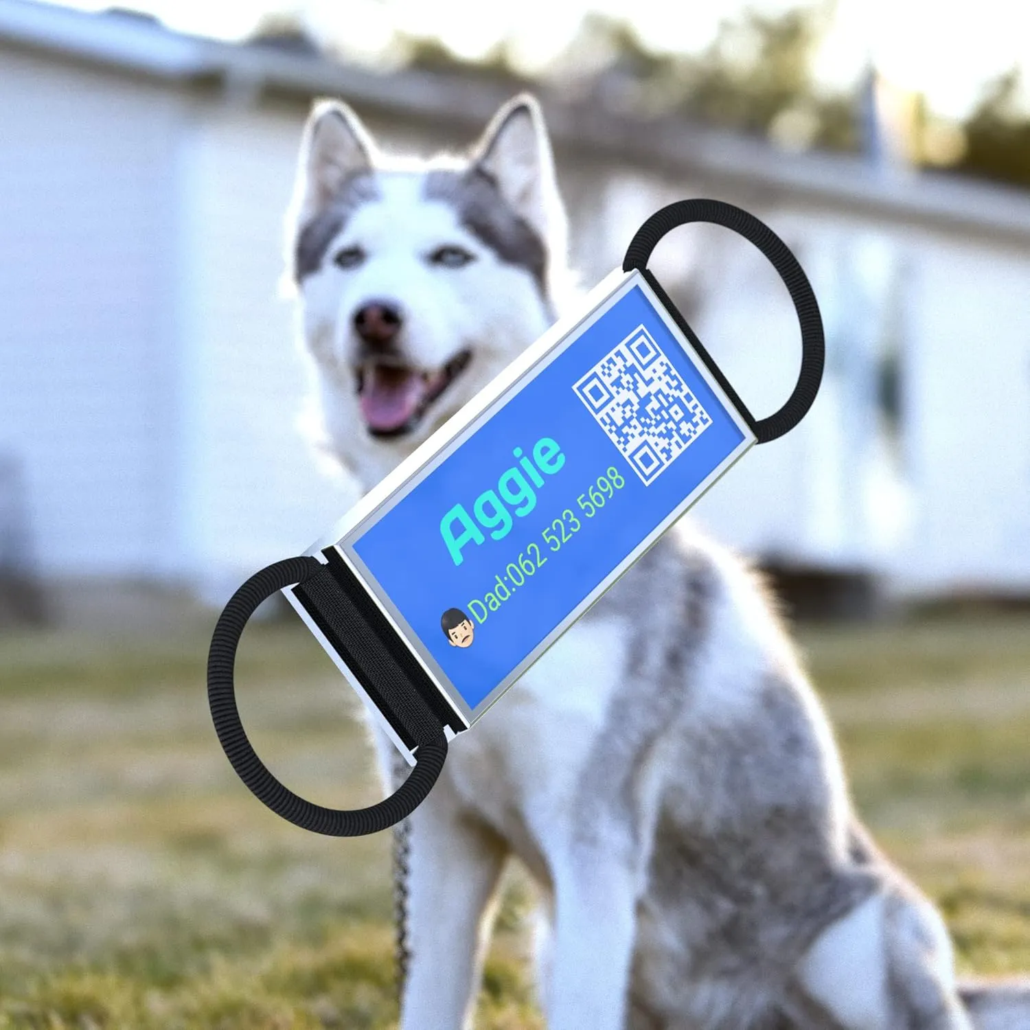 QR Code Slide On Dog Tag, Personalized Dog Name Tags, Silent Noiseless - Free Online & Scan QR Receive Instant Location Alert Email