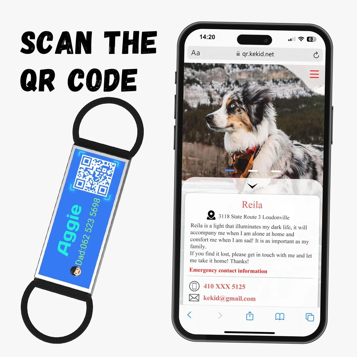 QR Code Slide On Dog Tag, Personalized Dog Name Tags, Silent Noiseless - Free Online & Scan QR Receive Instant Location Alert Email