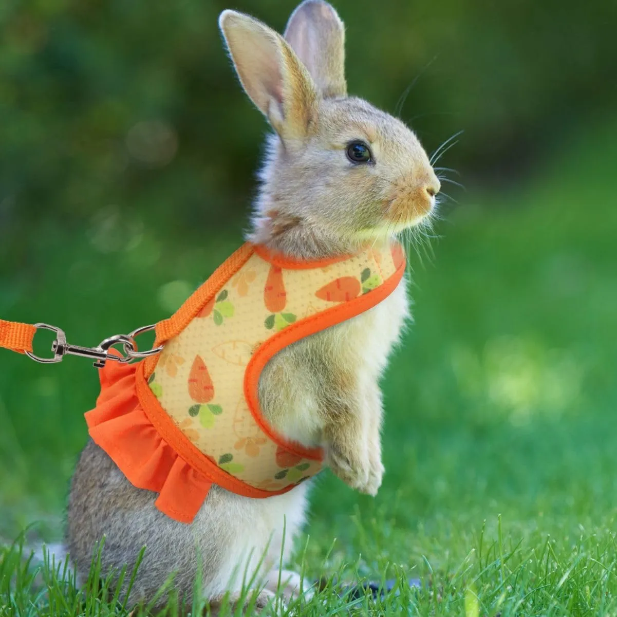 Rabbit Harness and Leash Set,Proof Walking Escape Cute Floral Mesh Vest Breathable Rabbit Costumes for Bunny, Hiking, Training for Ferret Kitten Puppy Small Animals Orange S