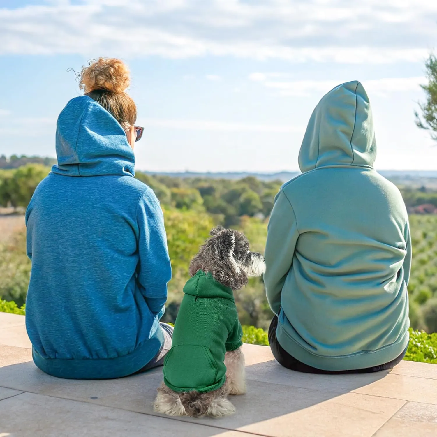 SCENEREAL Dog Hoodie Sweaters for Small Medium Large Size Dogs, Fleece Dog Sweatshirt with Hat and Pocket,Soft Cotton Cold Winter All Weather Dog Clothes for S to XL Sized Dogs, Green S