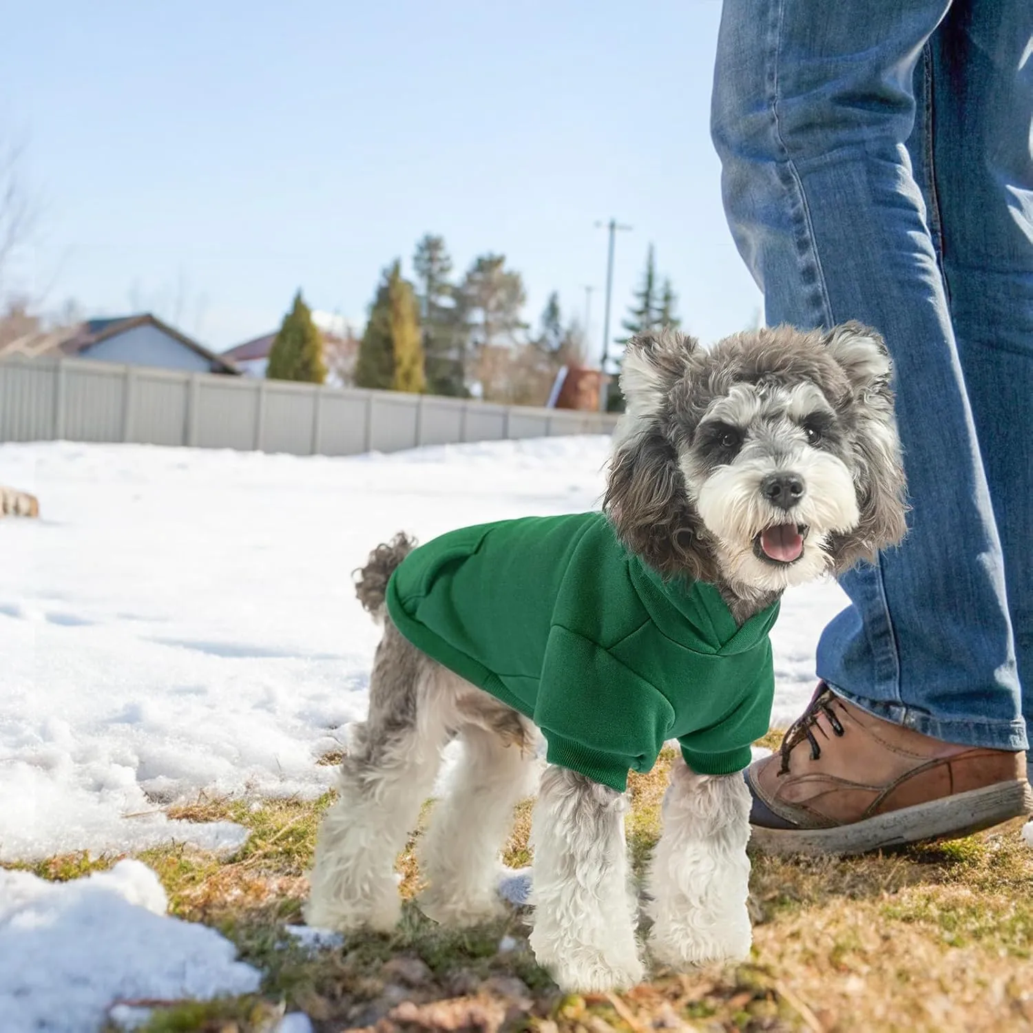 SCENEREAL Dog Hoodie Sweaters for Small Medium Large Size Dogs, Fleece Dog Sweatshirt with Hat and Pocket,Soft Cotton Cold Winter All Weather Dog Clothes for S to XL Sized Dogs, Green S