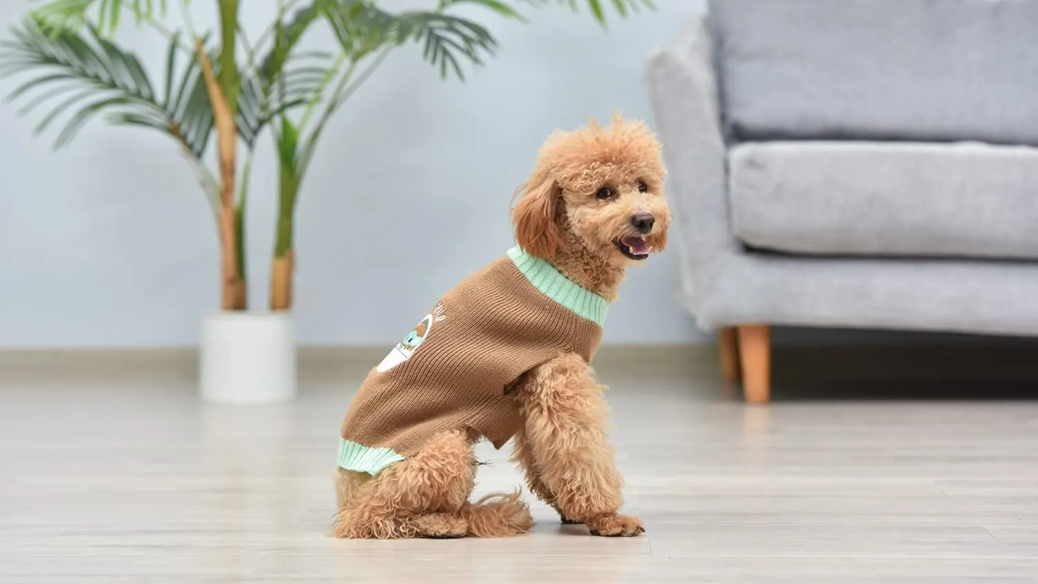 STAR WARS for Pets The Mandalorian Dog Sweater, Small (S) | The Mandalorian & GROGU Sweater for Dogs | STAR WARS Pet Apparel, STAR WARS Sweater for Dogs
