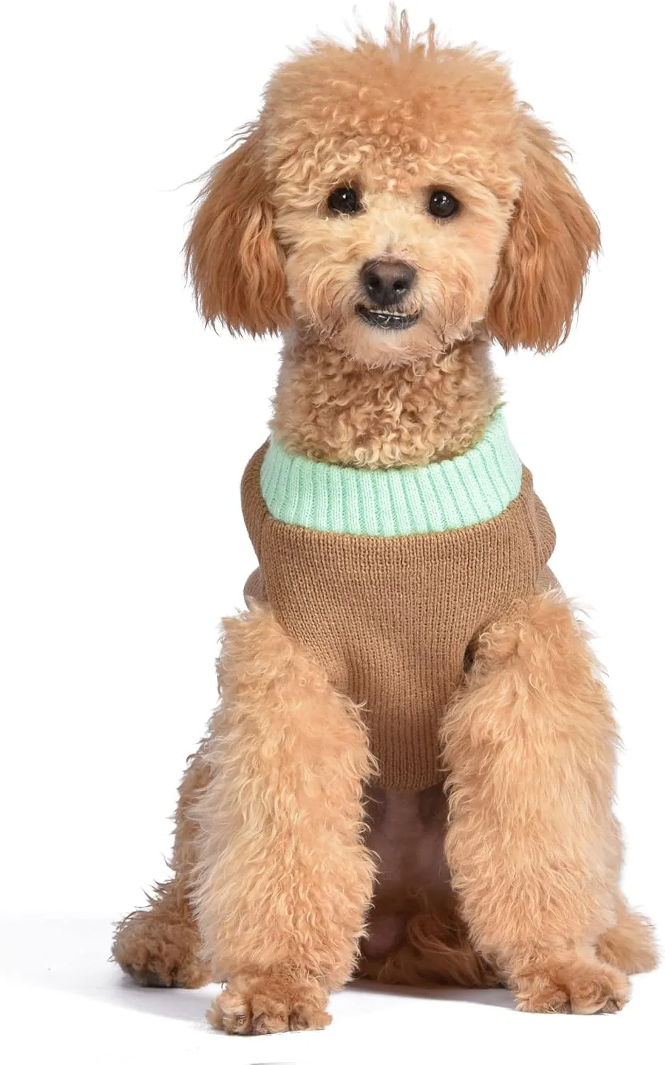 STAR WARS for Pets The Mandalorian Dog Sweater, Small (S) | The Mandalorian & GROGU Sweater for Dogs | STAR WARS Pet Apparel, STAR WARS Sweater for Dogs