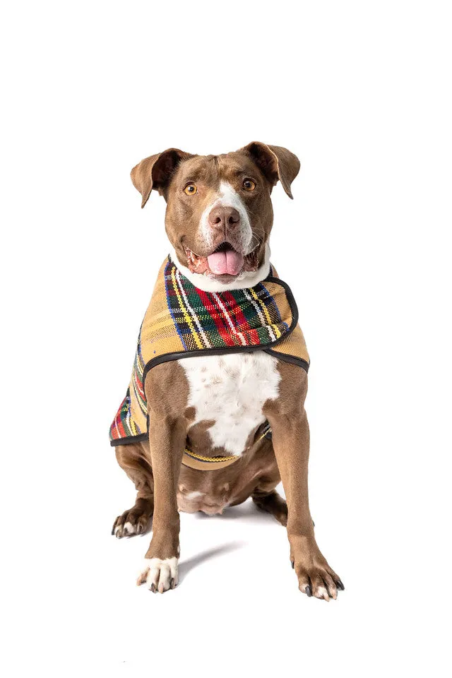Tan Tartan Plaid Fleece Lined Dog Coat by Chilly Dog