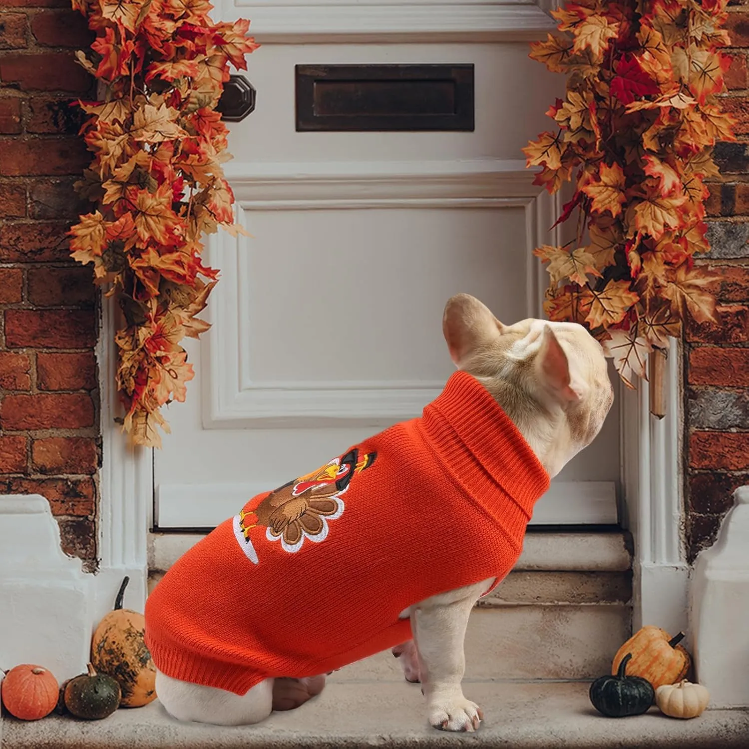 Thanksgiving Dog Sweater - Turkey Dogs Pullover Classic Knitwear with Leash Hole Warm Winter Pet Turtleneck Sweaters Apparel for Small Medium Breeds (S)