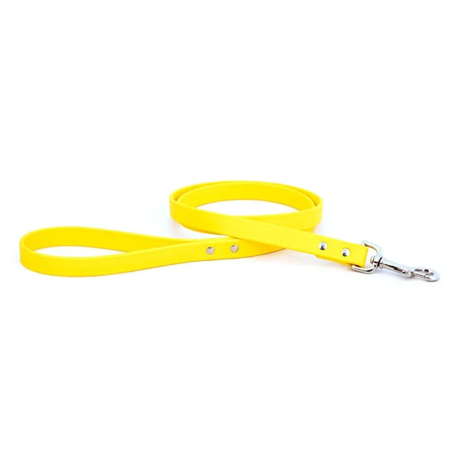 Waterproof Dog Leash