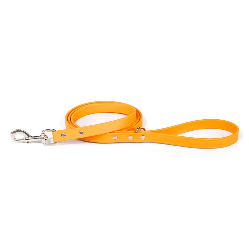 Waterproof Dog Leash