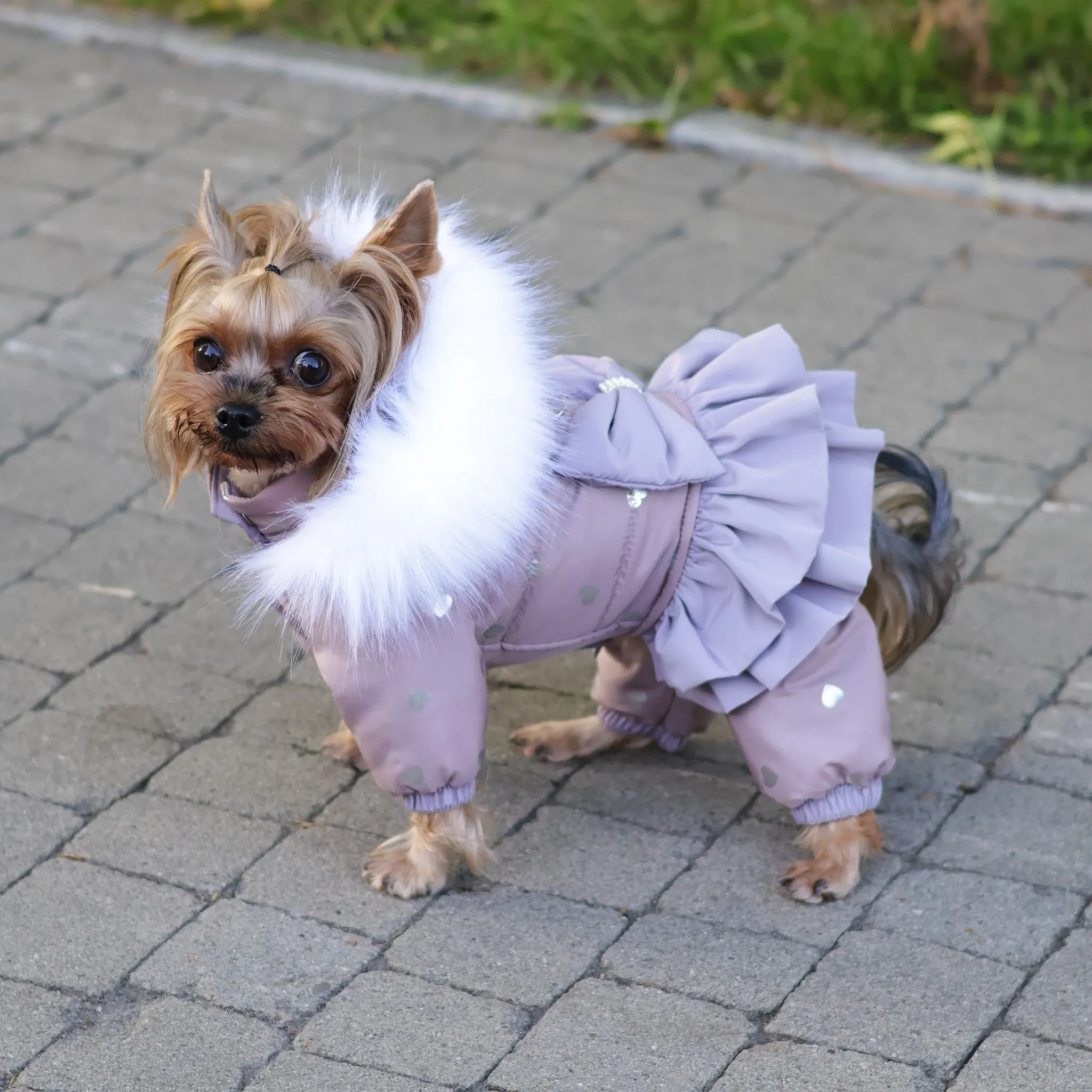 Winter cute dog snowsuit