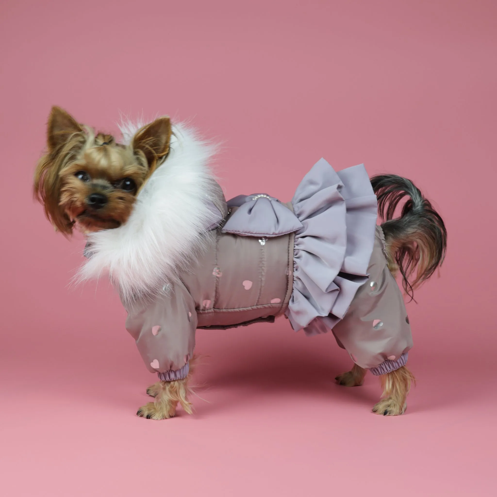 Winter cute dog snowsuit