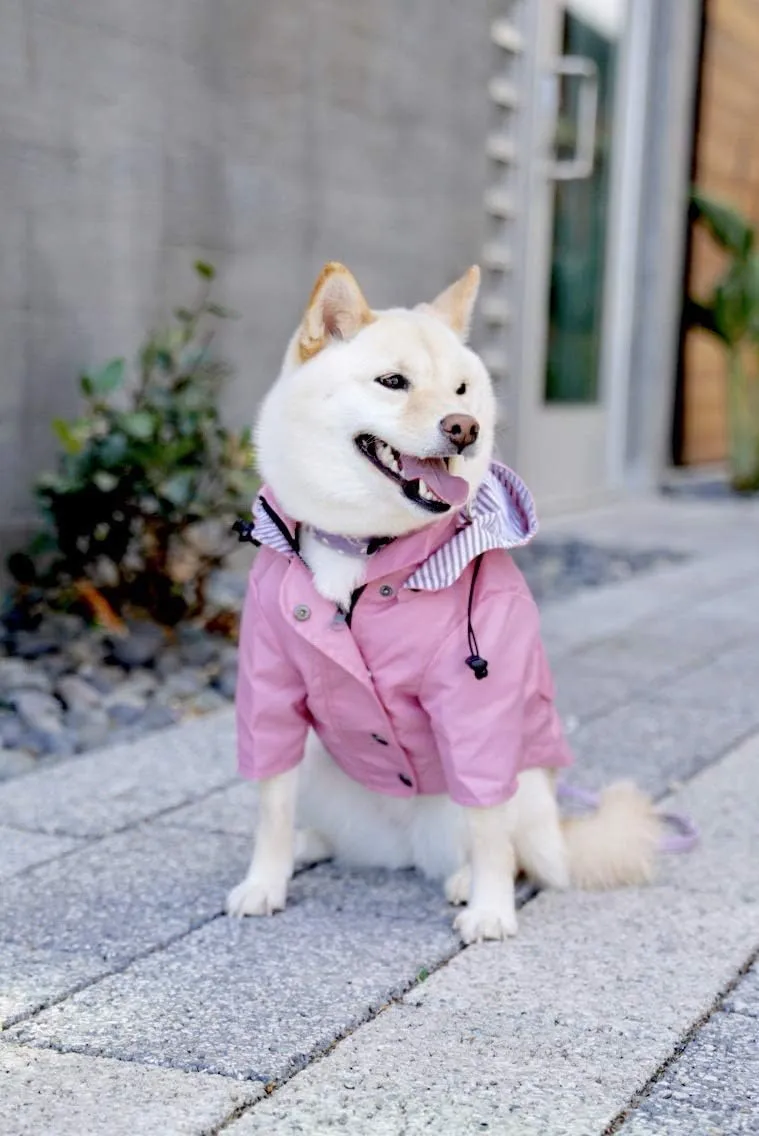 Zip Up Dog Raincoats with Reflective Buttons, Pockets, Rain/Water Resistant, Adjustable Drawstring, & Removable Hood - XXS to XXL - Stylish Premium Dog Raincoats (Pink, X-Small)
